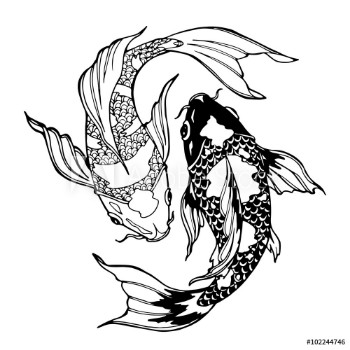 Bild på koi fish ying yang symbol